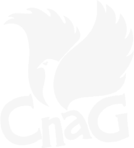 CnaG-300-white Comunn na Gàidhlig